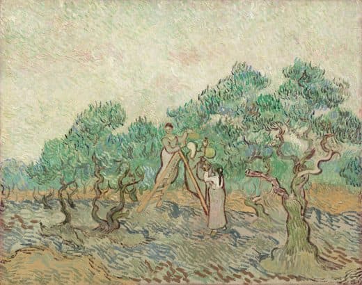 Vincent van Gogh — 올리브 과수원