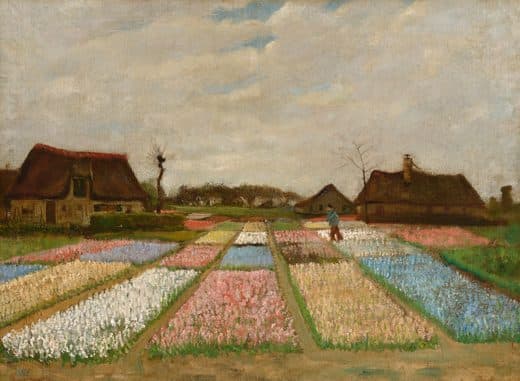 Vincent van Gogh — 네덜란드의 화단